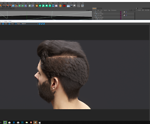 Hair Grooming Cinema 4D - Bust Model