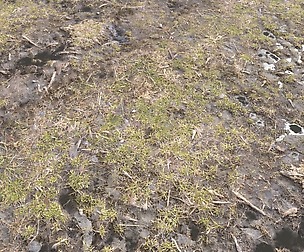 Dirty Terrain PBR Pack 2