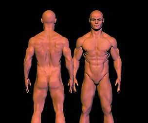 base mesh young boy
