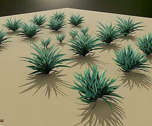 Yughues Tulipleafs Shrubs