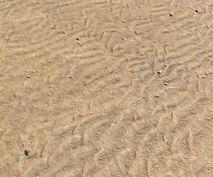 Desert Wasteland Ground textures PBR pack 9