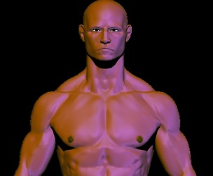 base mesh anatomy for game