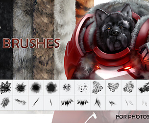 Fur Brushes