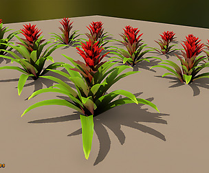 Yughues Tropical Oldie Revamped 01