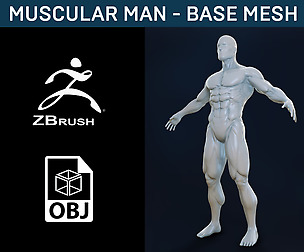 Muscular Man - Base Mesh