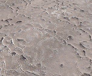 Desert Wasteland Ground PBR pack 11 Textures