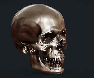 Perfect Shaped Skull