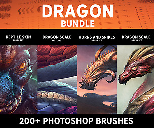 Dragon bundle