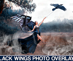Realistic Black Angel Wings Photoshop Overlays