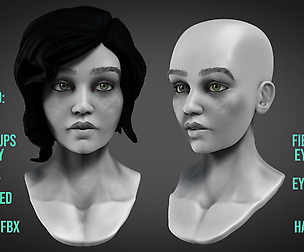 Female Bust 3D model