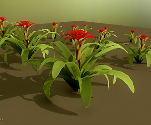 Yughues Tropical Oldie Revamped 03