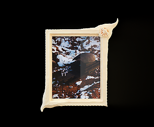 Cadres du Lucis (4 Pieces)
