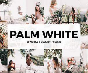 20 Palm White Lightroom Presets and LUTs