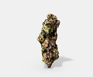 Marijuana Bud 3 - Photoscanned PBR