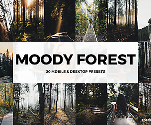 20 Moody Forest Lightroom Presets and LUTs