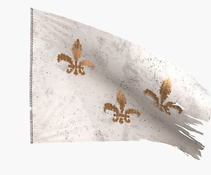 Royal French Flag 1789