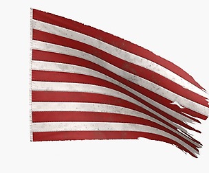The Sons of Liberty Flag