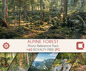 Alpine Forest - Photo Reference Pack