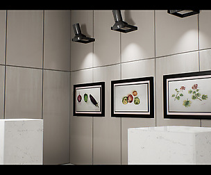 ShowRoom with 32 Original Paintings