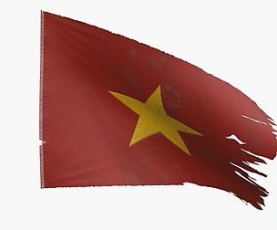North Vietnam Flag
