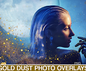 Gold Dust Overlay, Photoshop overlay Fairy Bokeh