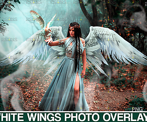 Realistic White Angel Wings Photoshop