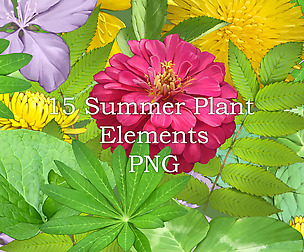 15 summer plant elements (PNG)