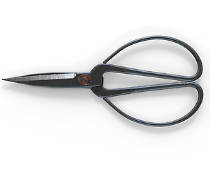 Kitchen Scissors