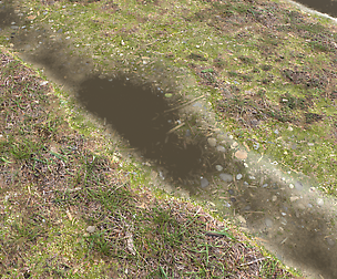 Forest ground PBR Pack 12 Textures