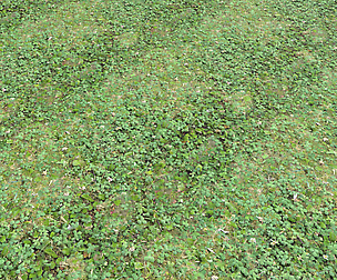 Forest ground PBR Pack 13 Textures