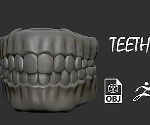 Teeth