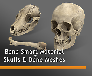 Bone Pack - Smart Material & Meshes