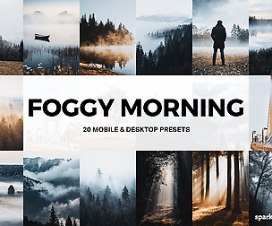 20 Foggy Morning Lightroom Presets and LUTs