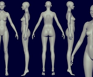 Free Athletic Female for sculpting
