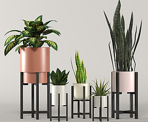 Stratton home decor plant box collection