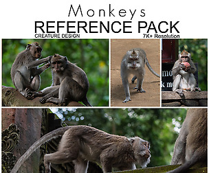 Creature Design Reference Pack - Monkeys