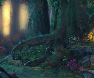 Dawn within the Forest HD/PRINT version