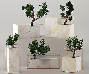 Marble Flower Pot Collection