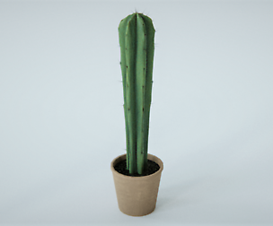 Cactus 3D-Model