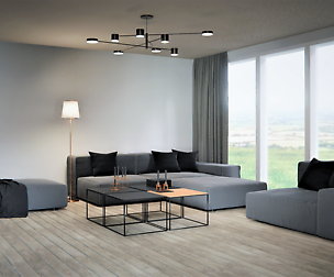 Minimalistic Living Room Scene