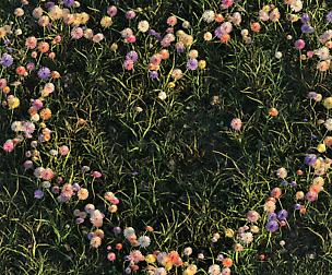 Grass & Nature Pack