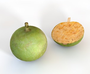 Bael (Wood apple)