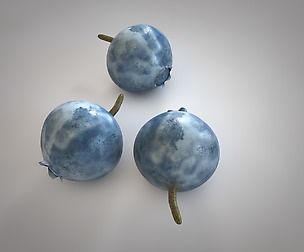 Bilberry 3D Model