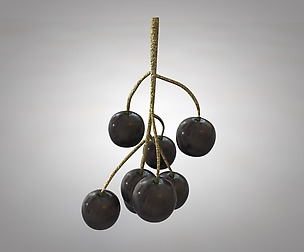 Black currant 3D Model