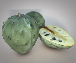 Cherimoya 3d Model