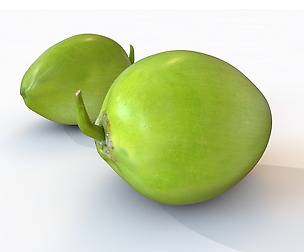 coconut green 3D model