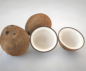 Coconut Inner 3D Model