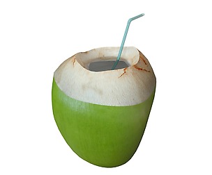 coconut water sliced 3d Model