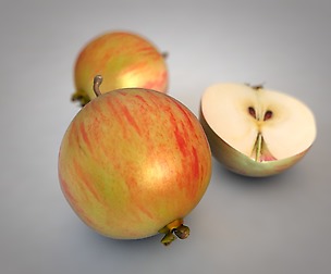 Crab apples 3D Model