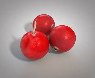 Cranberry 3D Model